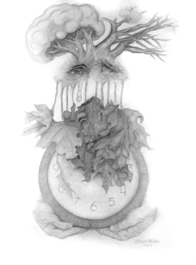 The Face In The Tree drawing